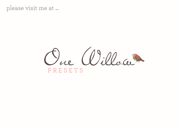 One Willow Presets