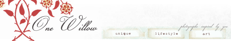 One Willow Studios:: photography by jessica paige logo